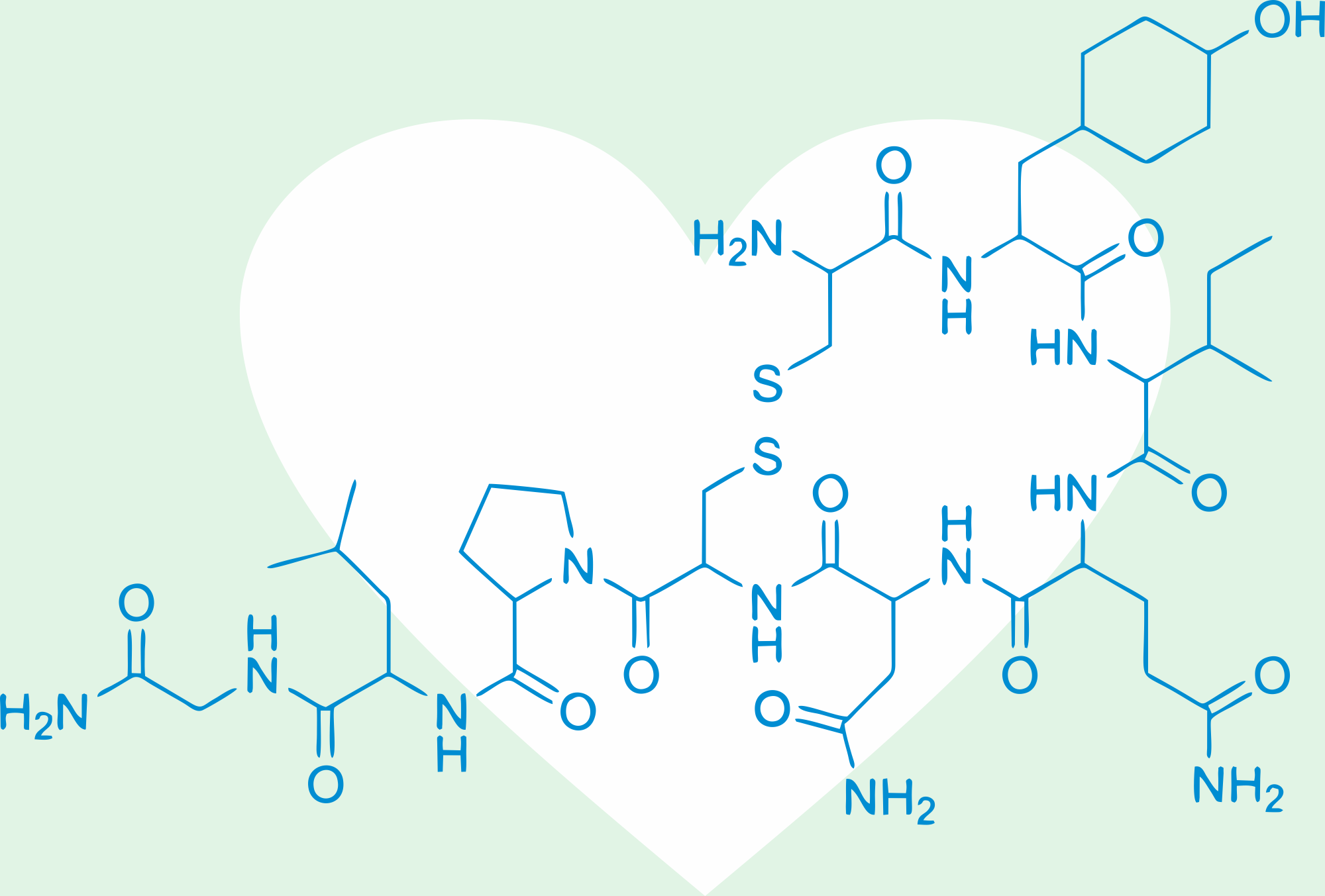 Oxytocin, das Liebeshormon, Bindungshormon, Hypooxytocinämie, Hyperoxytocinämie, Oxytocinmangel, Oxytocinüberschuss