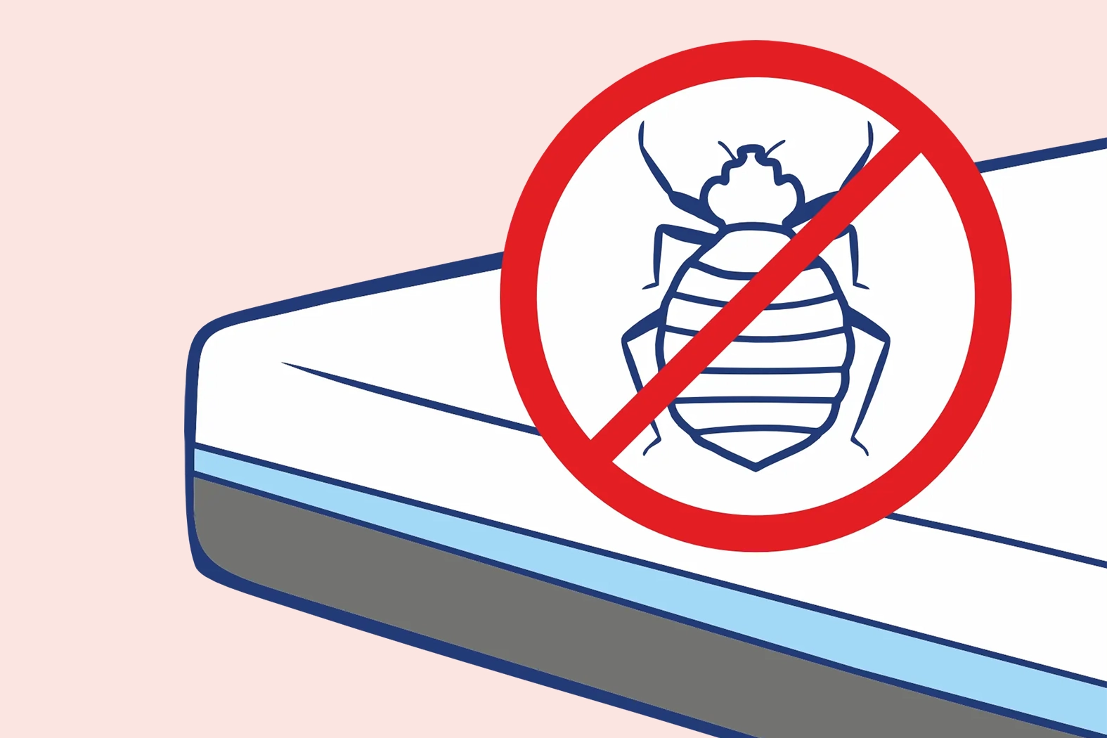 bedbugs in the mattress, how to get rid of insects from the bedroom, insects in the apartment