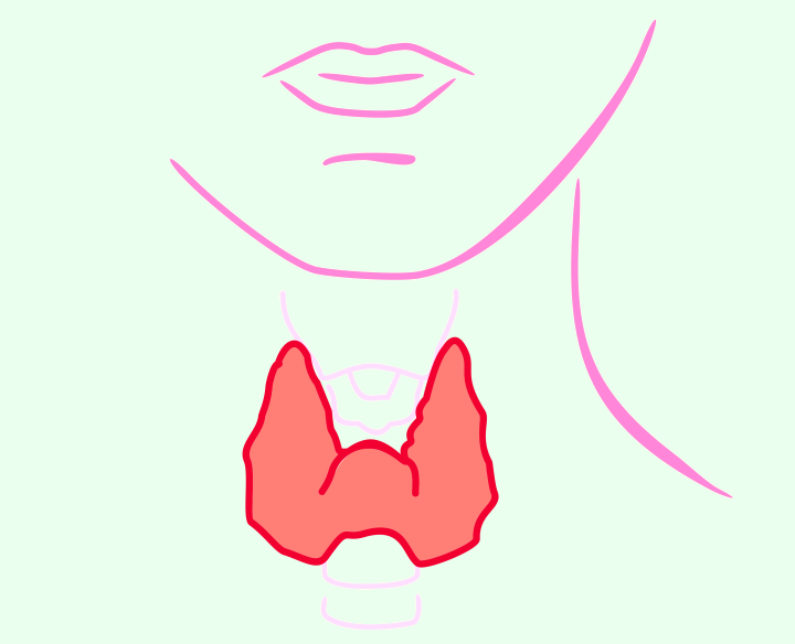 Calcitonin, hypocalcemia, hypercalcemia, calcitonin deficiency, excess of calcitonin