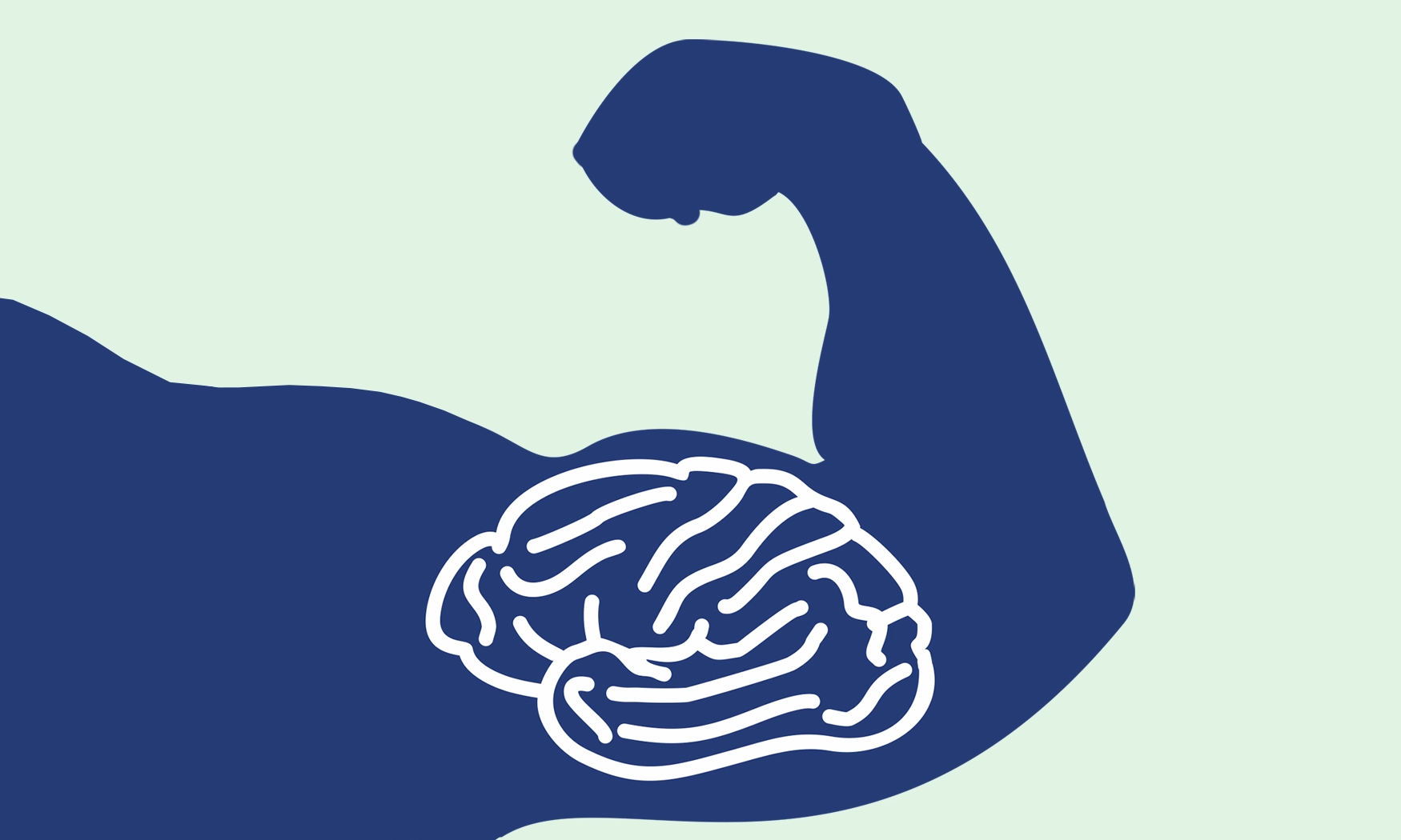 Neurofitness, neuroplasticity, brain plasticity