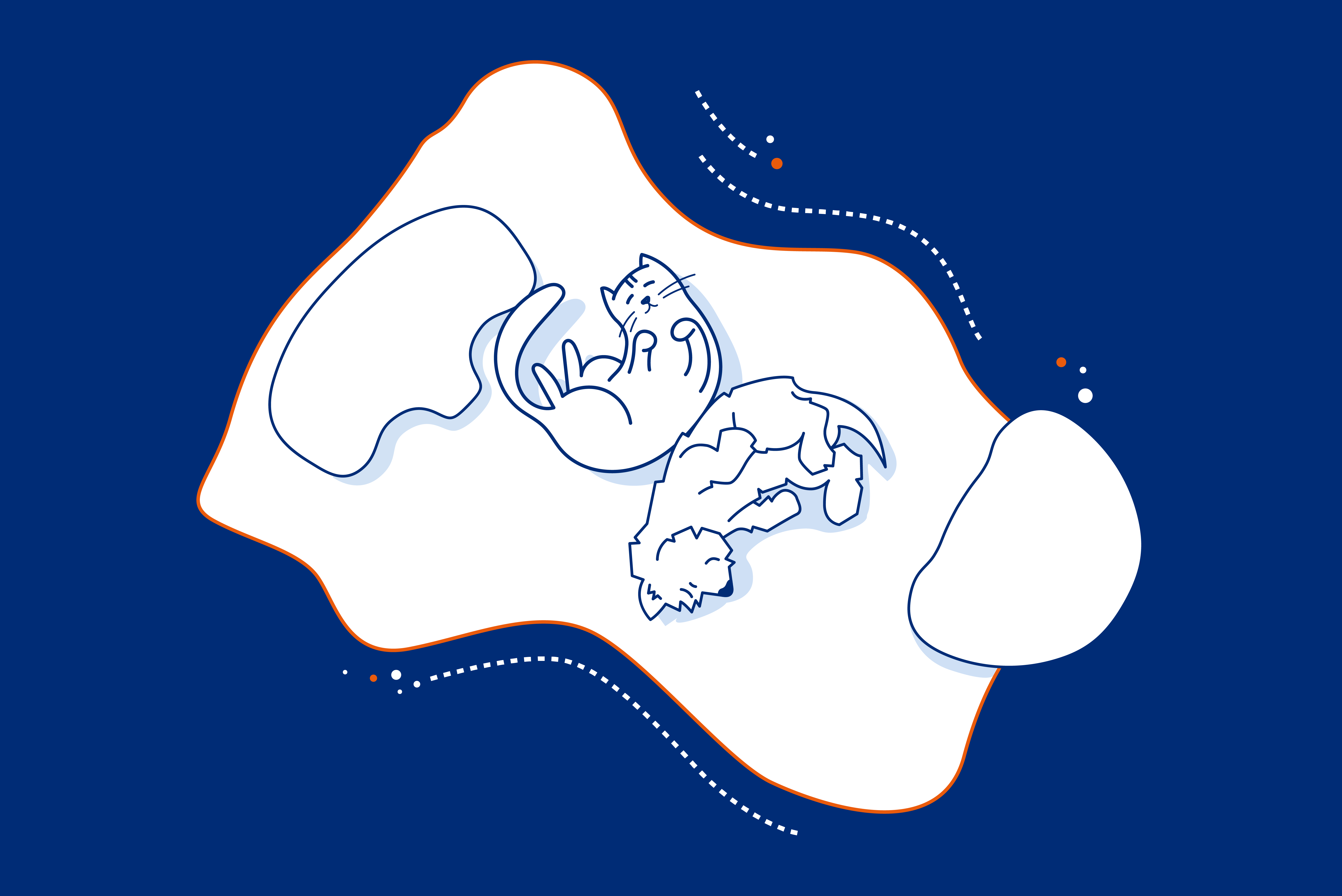 pościel, pościele, poszwy, poszewki